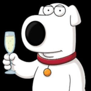 Meet your Posher, Steve
